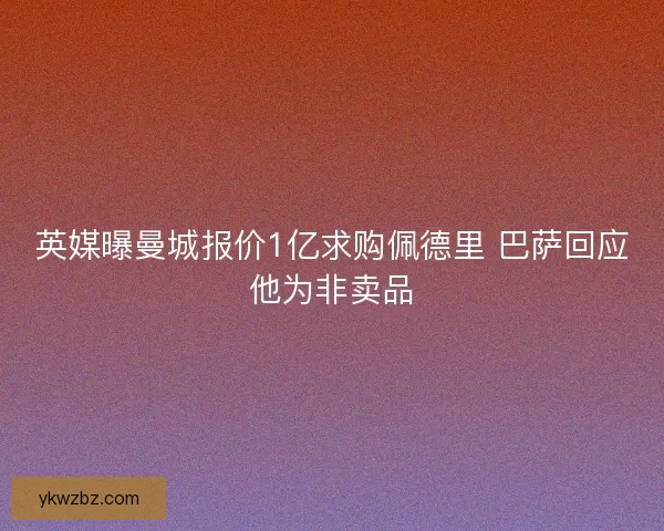 英媒曝曼城报价1亿求购佩德里 巴萨回应他为非卖品