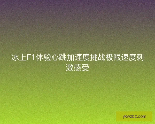 冰上F1体验心跳加速度挑战极限速度刺激感受
